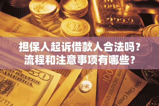 北京担保人起诉借款人合法吗？流程和注意事项有哪些？