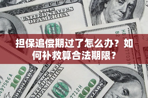 北京担保追偿期过了怎么办？如何补救算合法期限？
