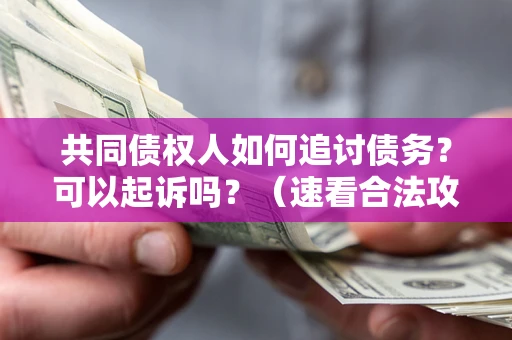 北京共同债权人如何追讨债务？可以起诉吗？（速看合法攻略）